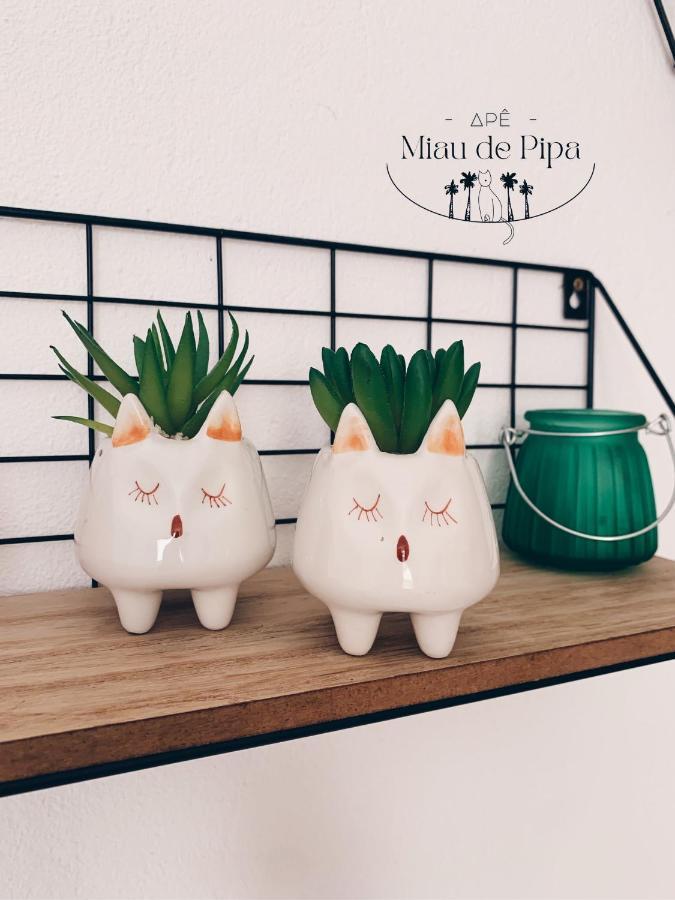 Miau De Pipa Apartment Praia de Pipa Ngoại thất bức ảnh